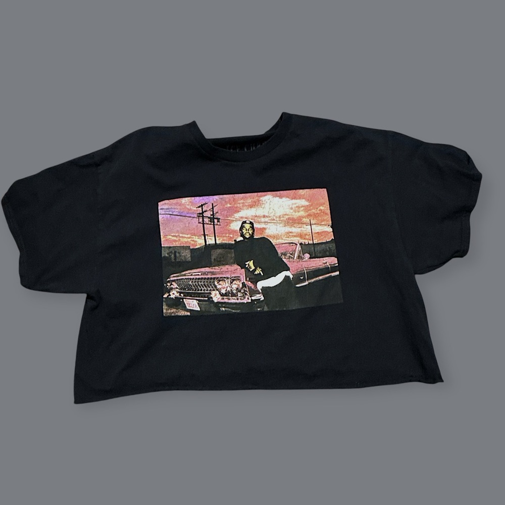 Ice cube crop top t shirt woman’s size xl